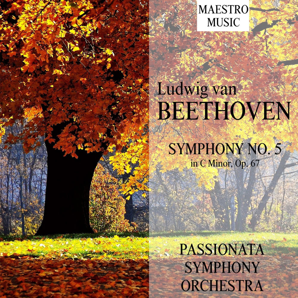 Beethoven-Symphony No. 5 cover