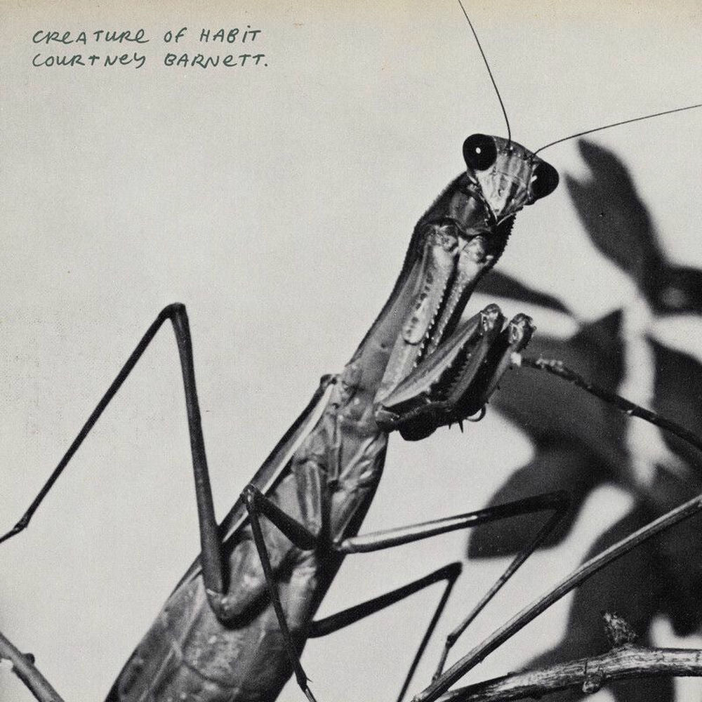 Creature of Habit cover