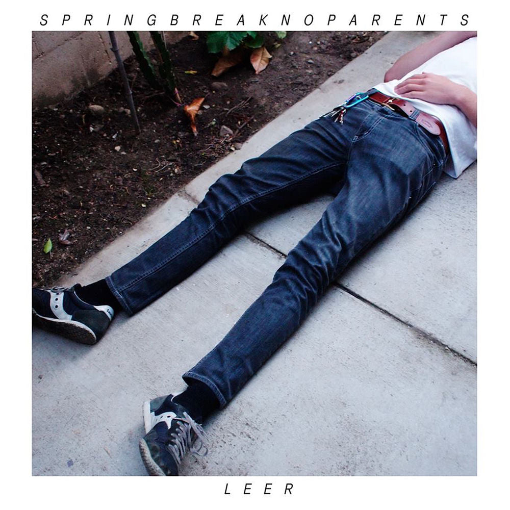 Spring Break No Parents cover