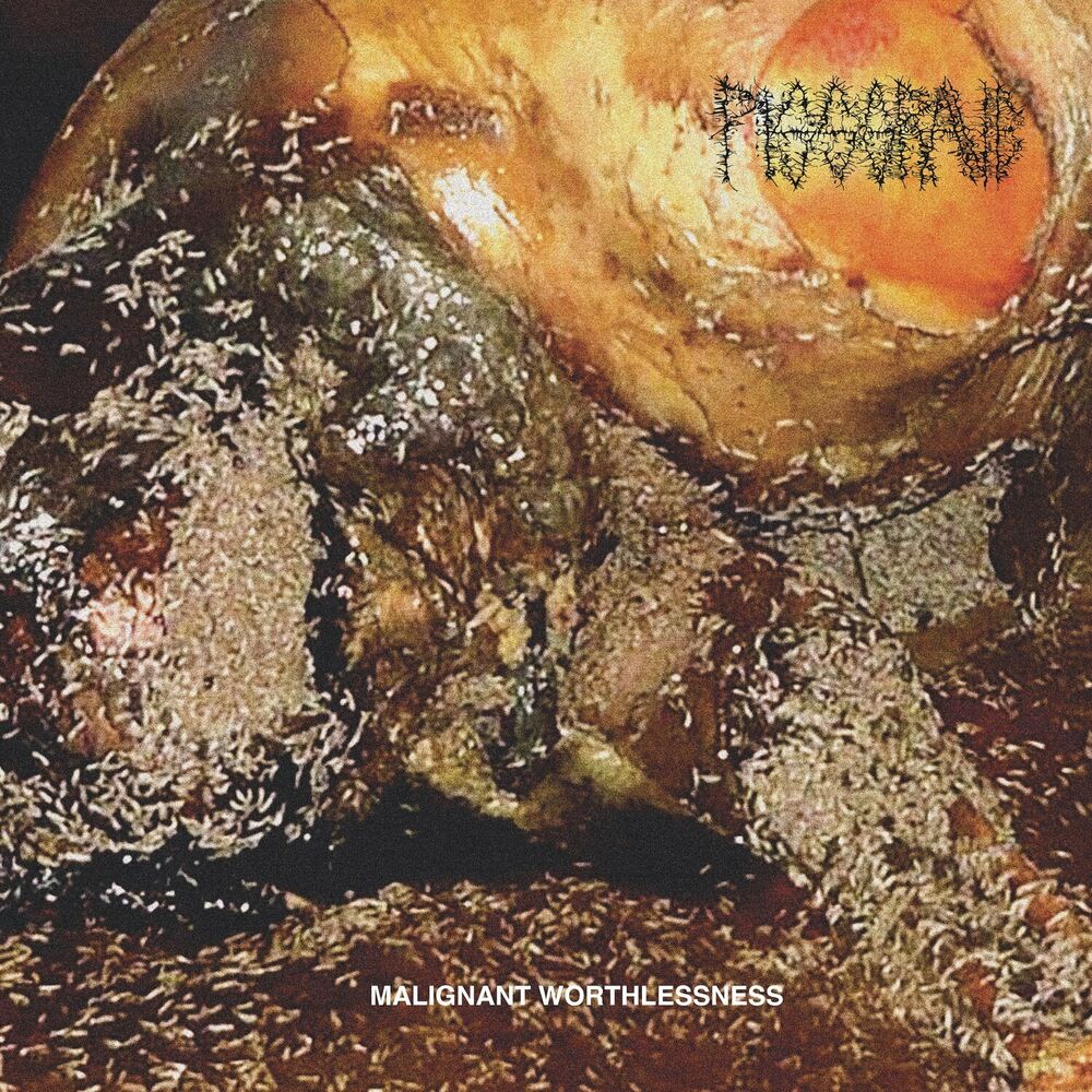 Malignant Worthlessness cover