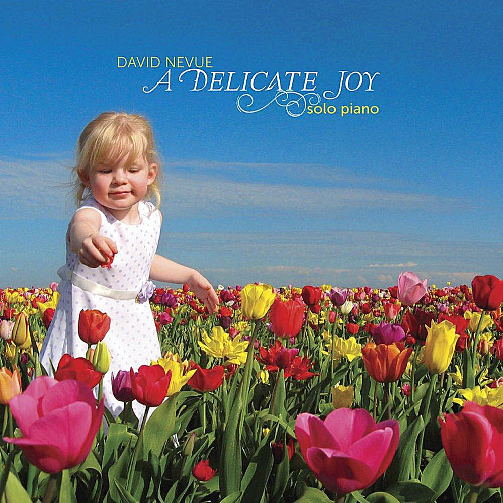 A Delicate Joy cover