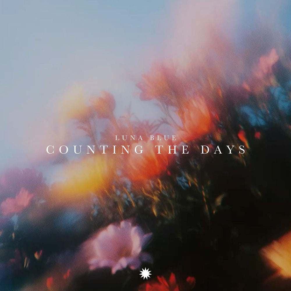 Counting the Days [Vinyl] cover