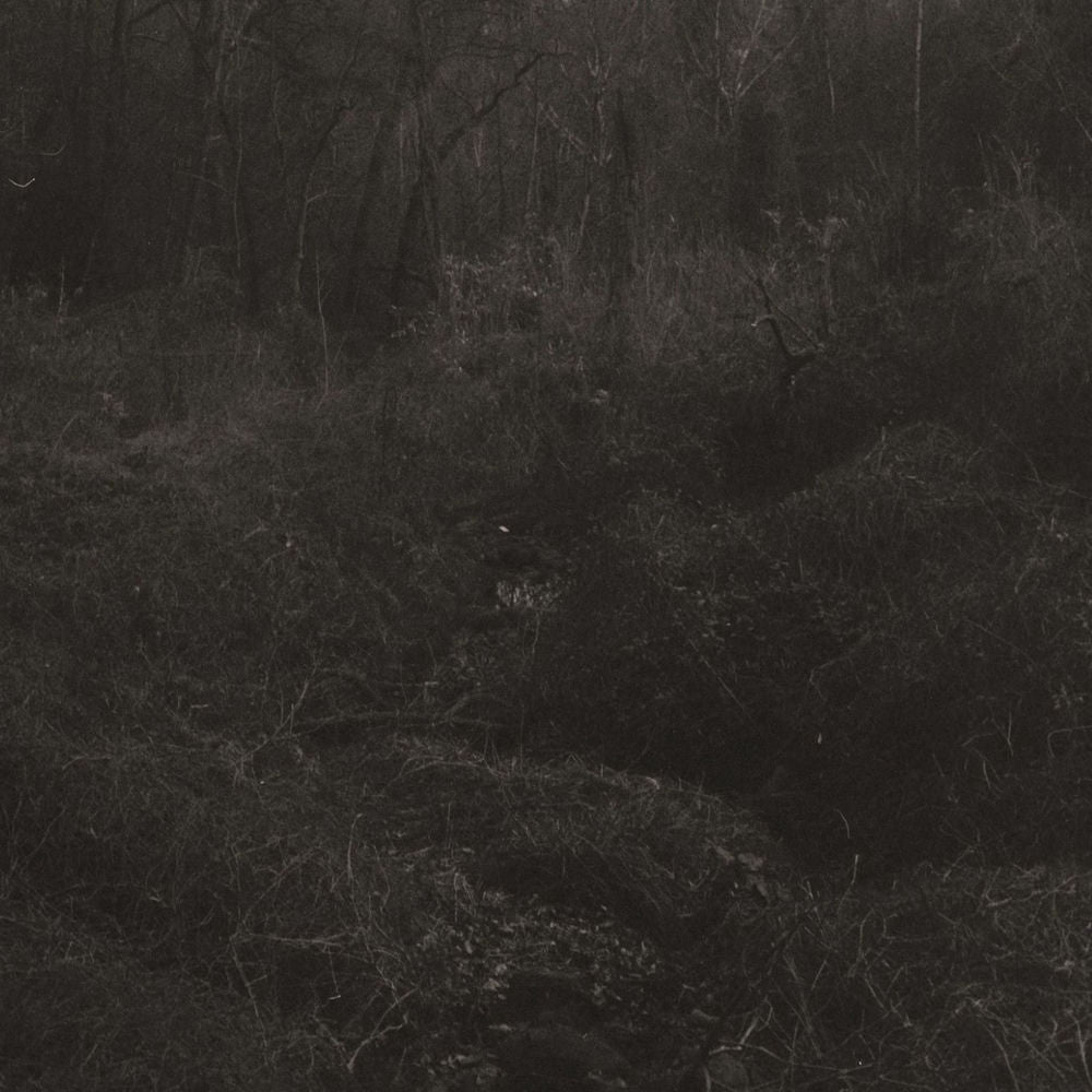 Transient cover