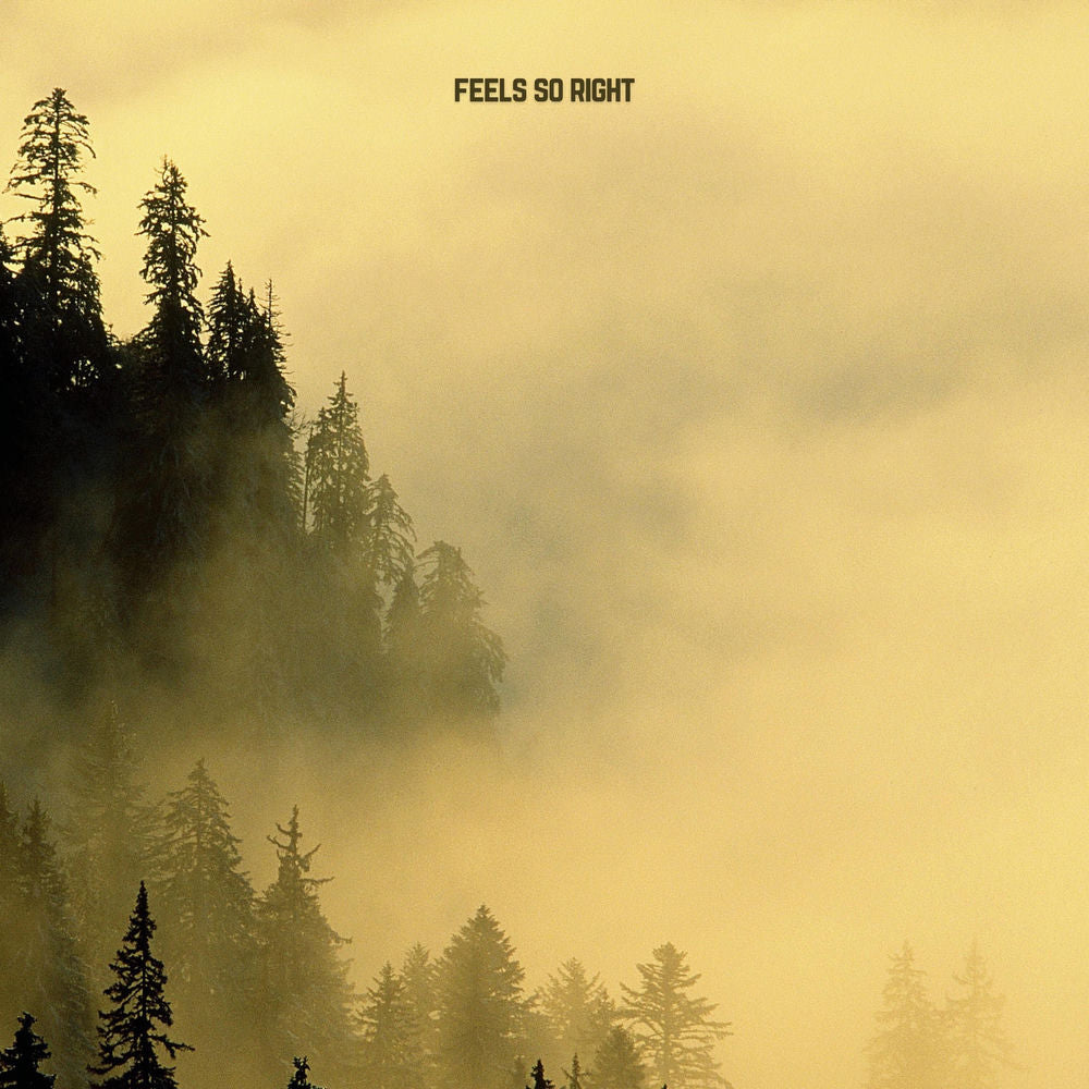Past Midnight... cover