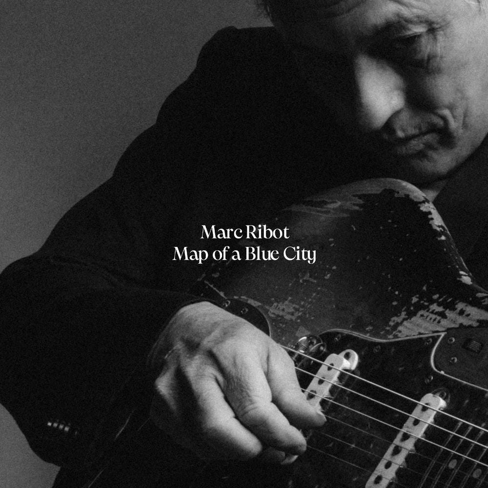 Map of a Blue City cover