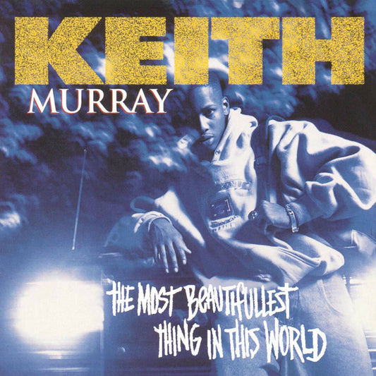 The Most Beautifullest Thing in This World cover