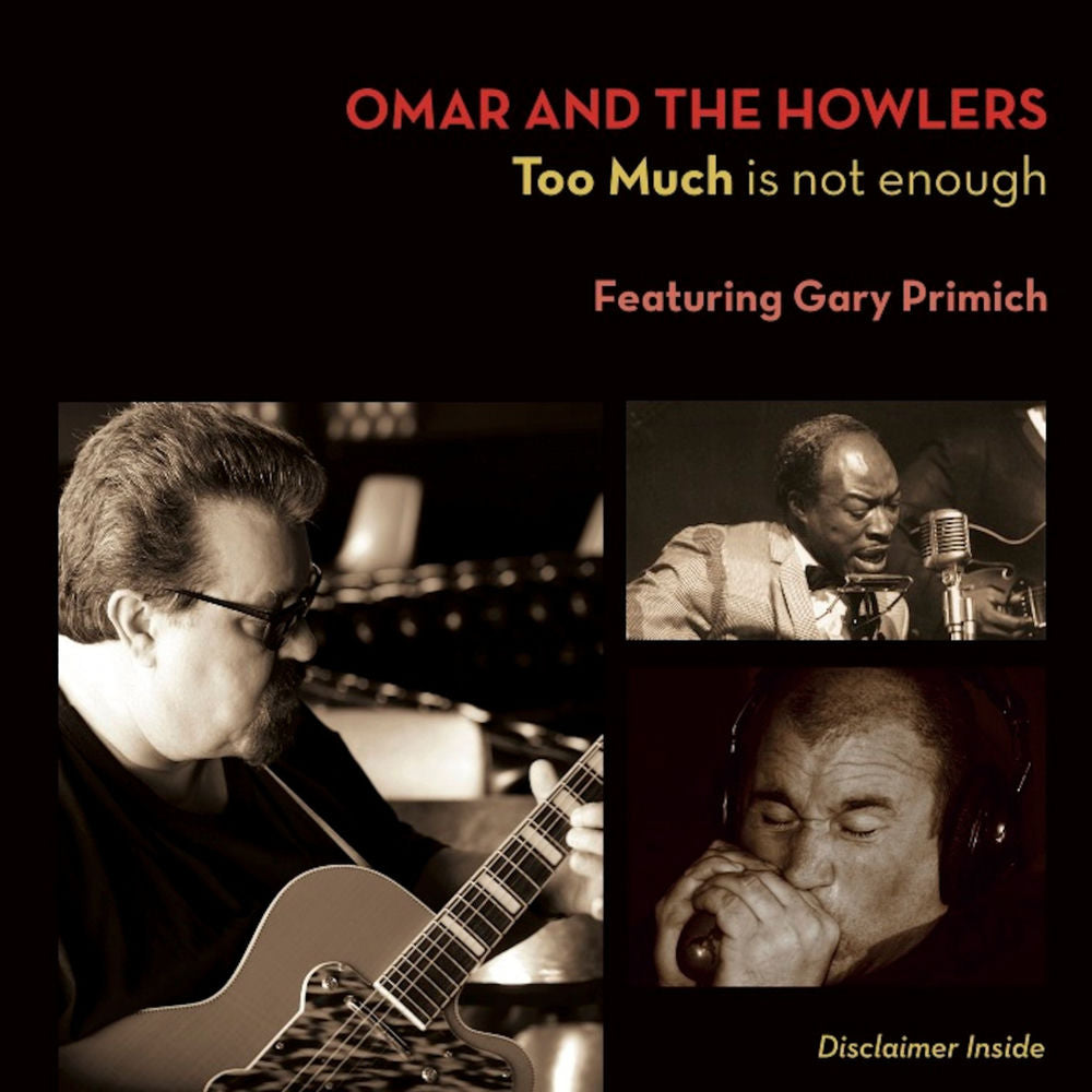 Too Much Is Not Enough cover