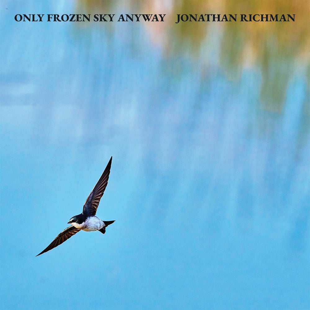 Only Frozen Sky Anyway LP cover