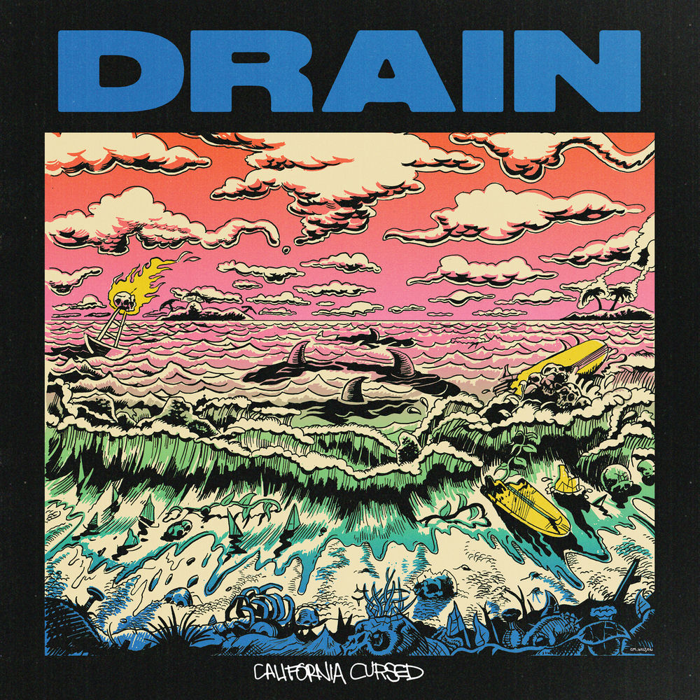 Drain cover