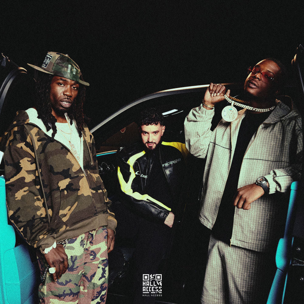 Avion cover