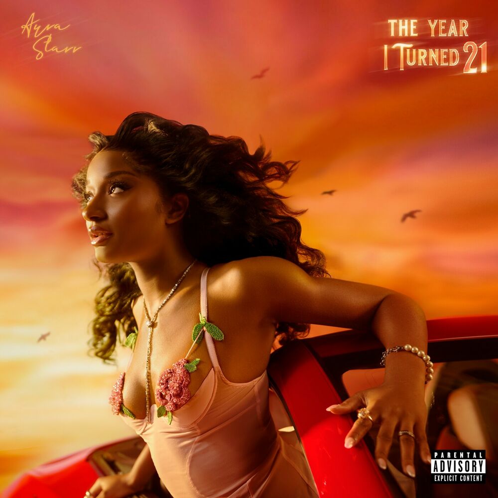 The Year I Turned 21 cover