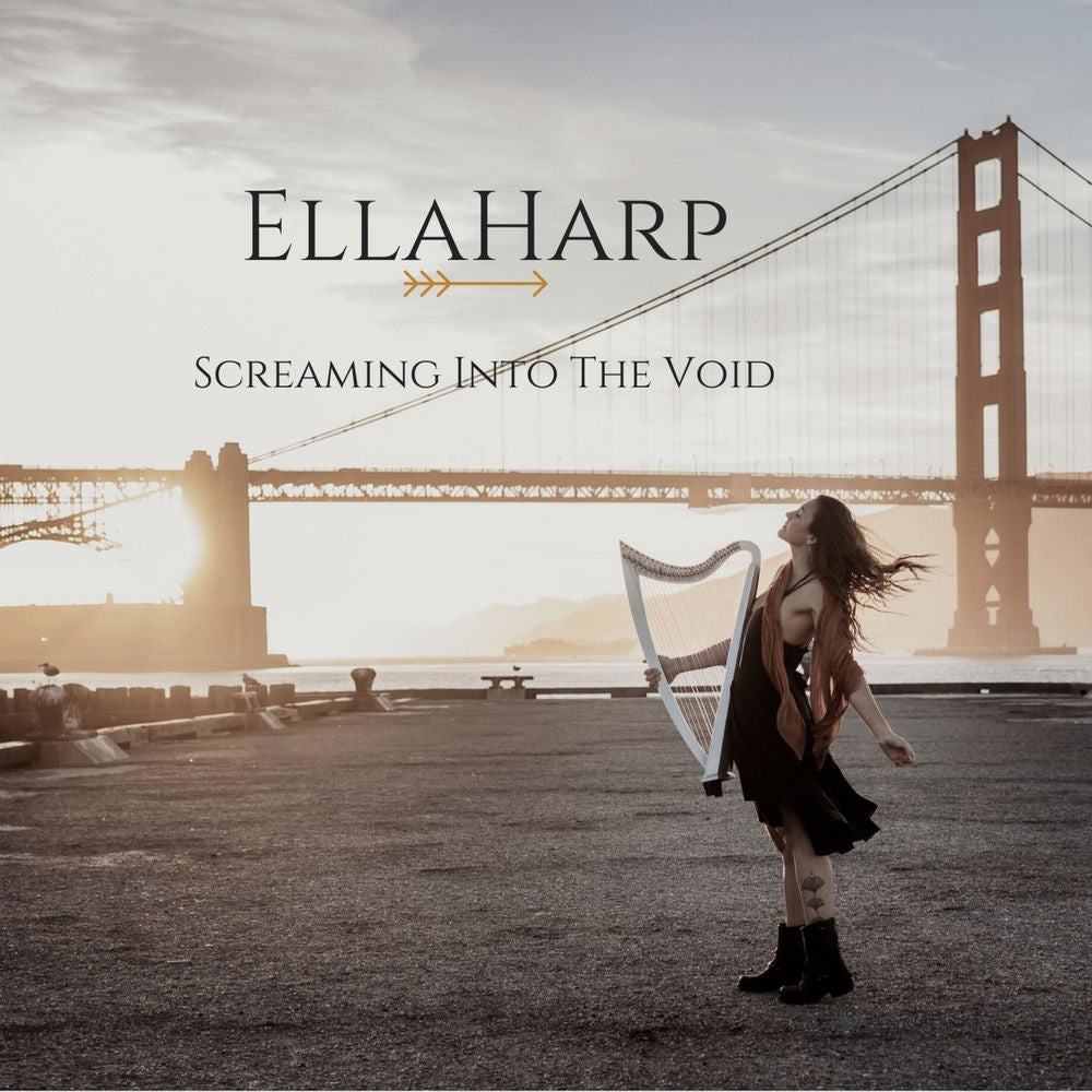 Screaming into the Void cover