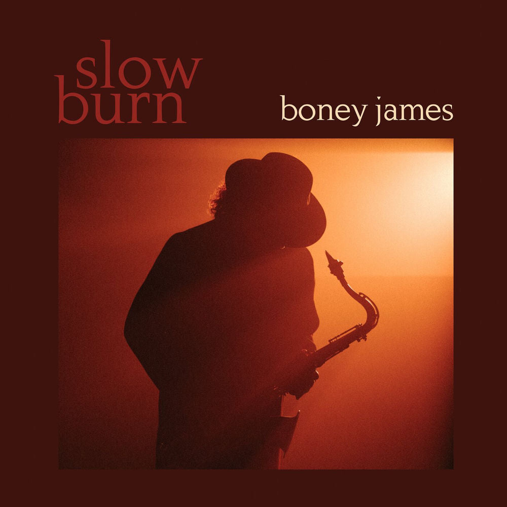 Slow Burn [LP] cover