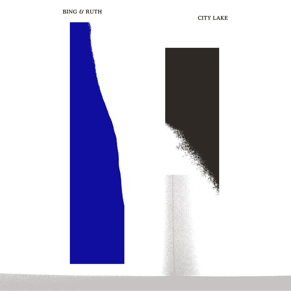 City Lake cover