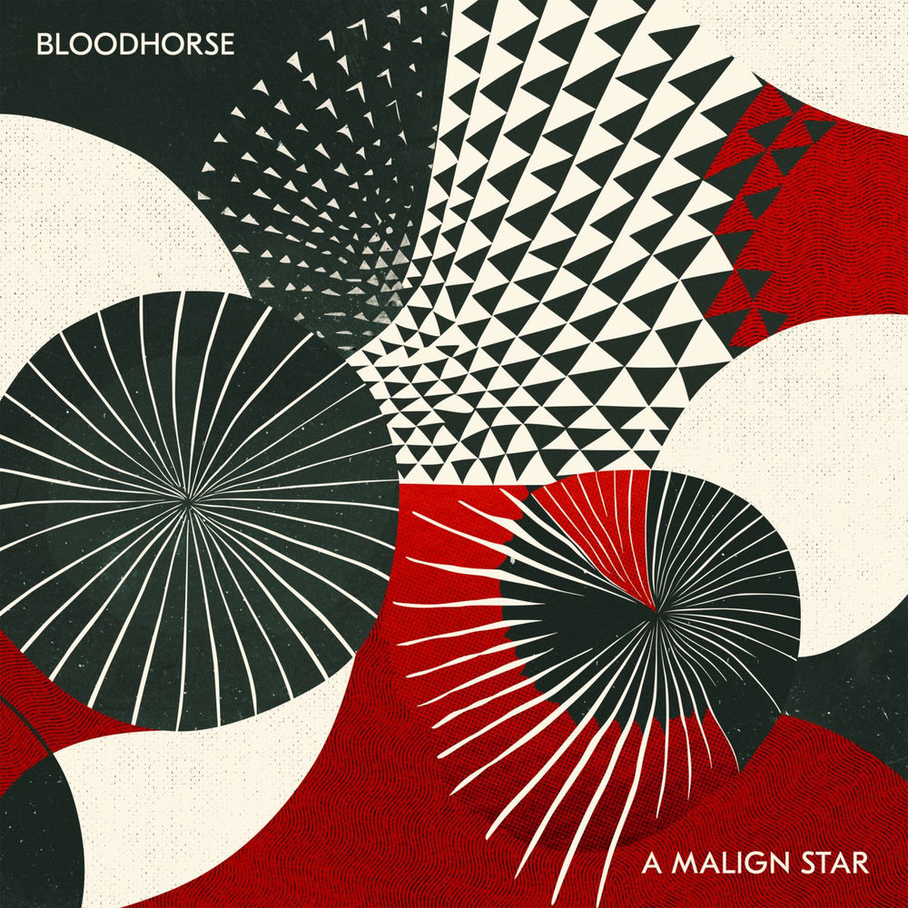 Bloodhorse! cover