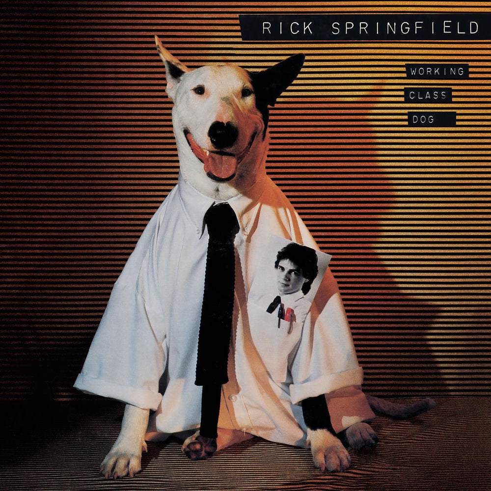 Springfield cover