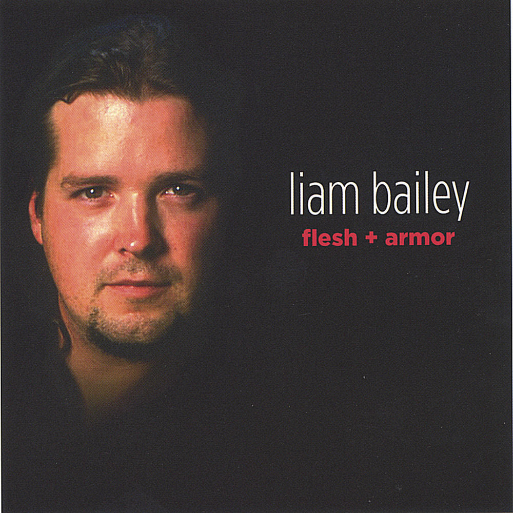 Flesh & Armor cover