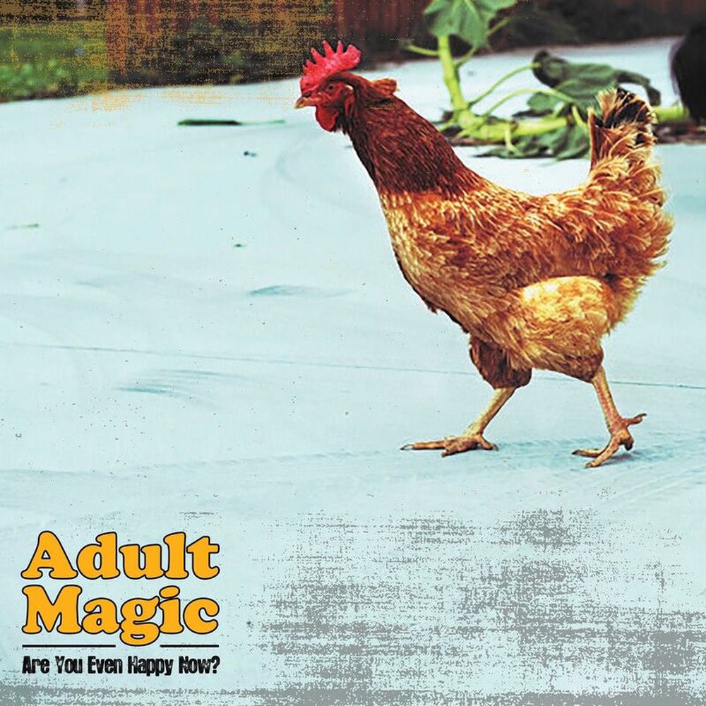Are You Even Happy Now? cover