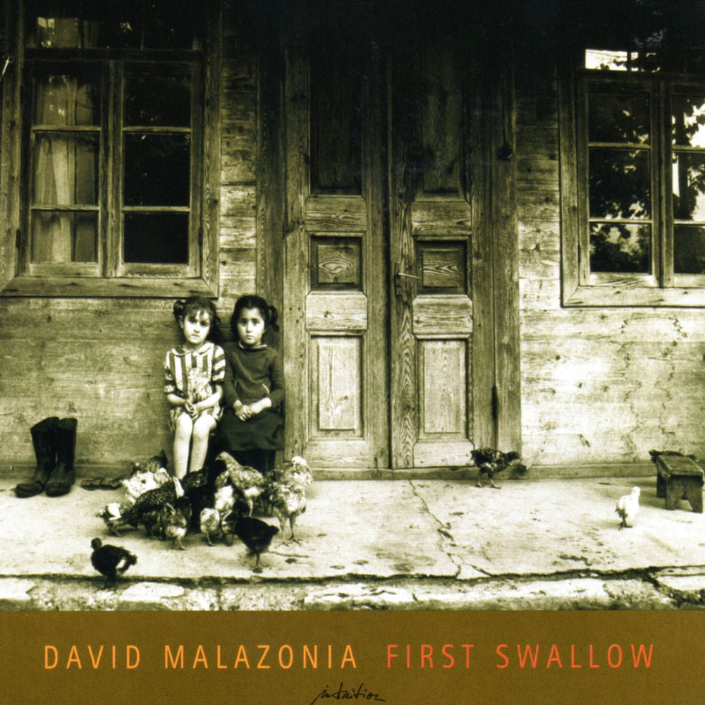 First Swallow cover