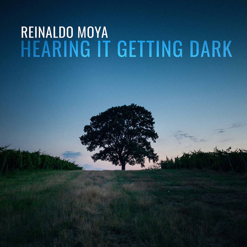 Hearing It Getting Dark cover