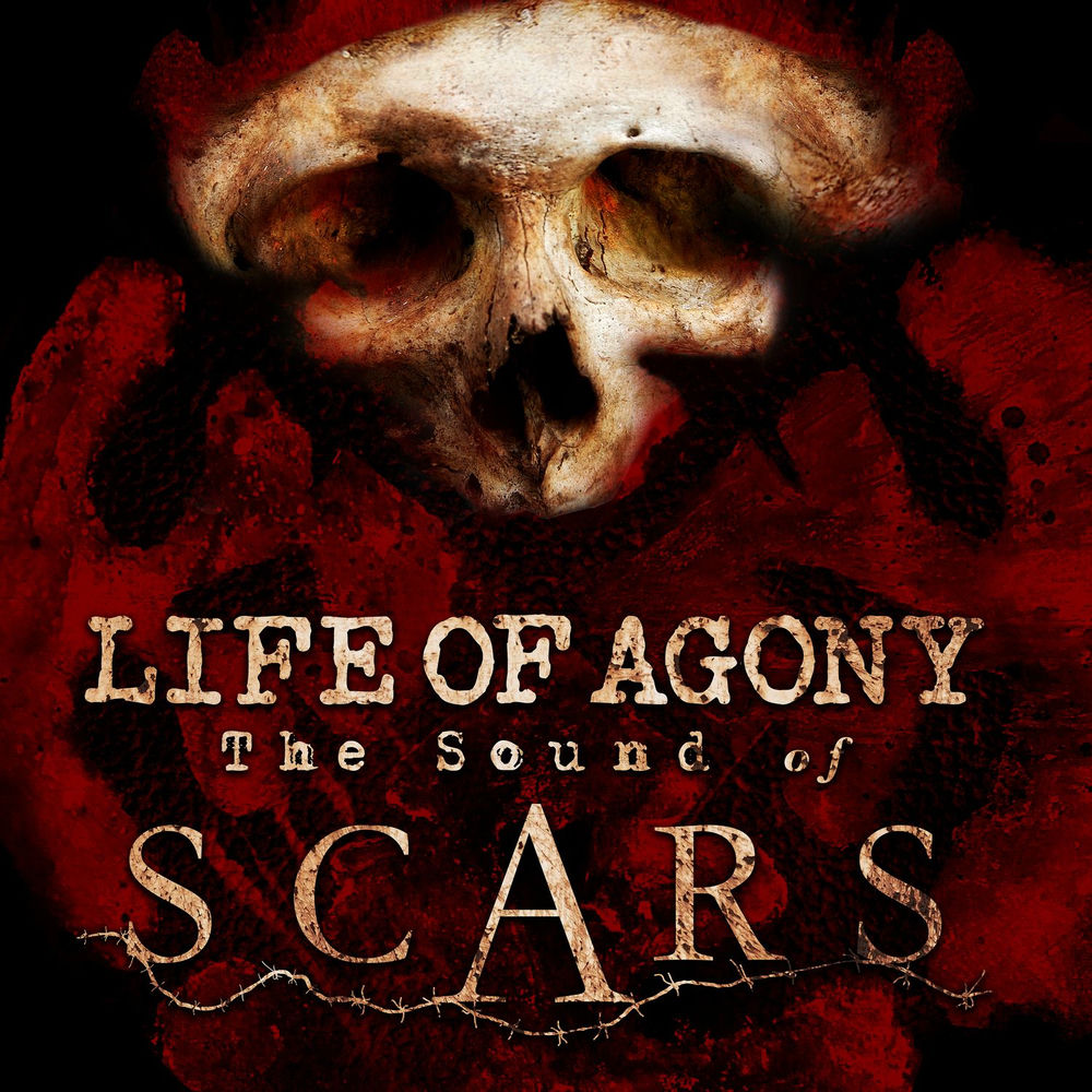 Sound Of Scars cover