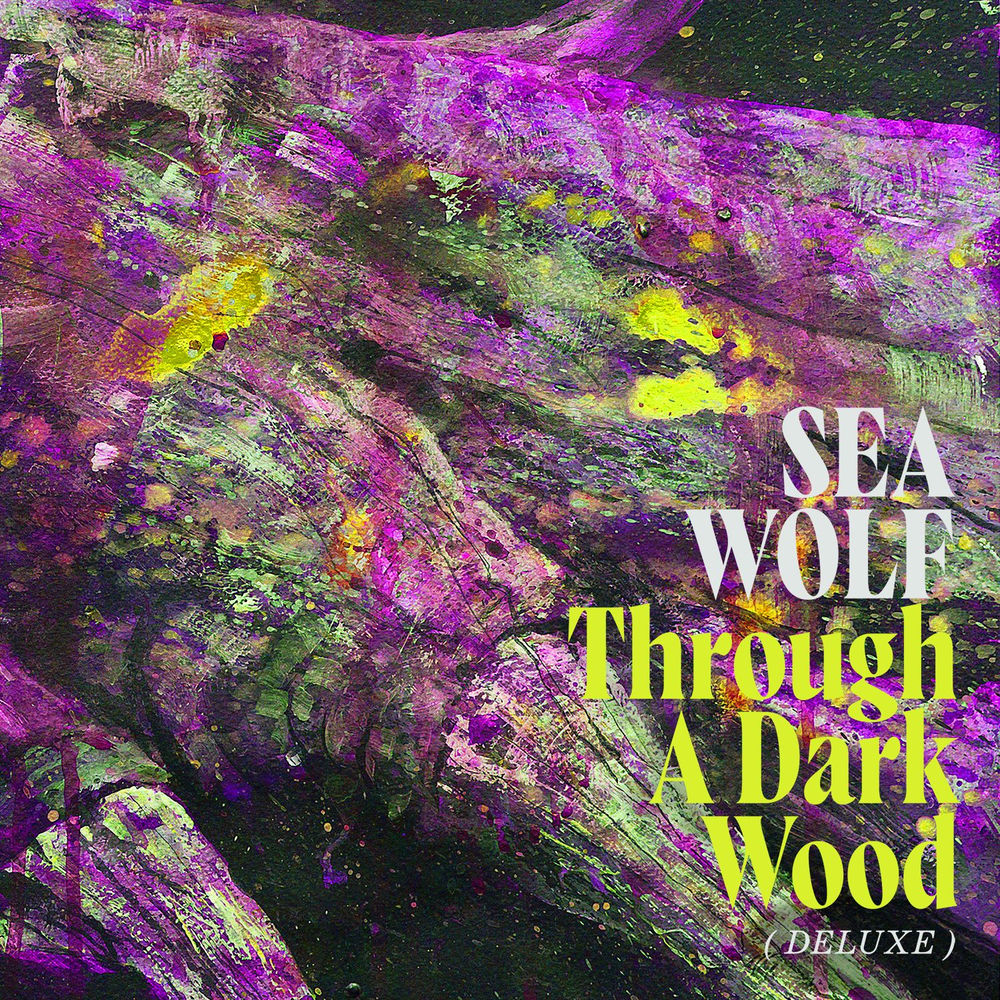 Through A Dark Wood cover
