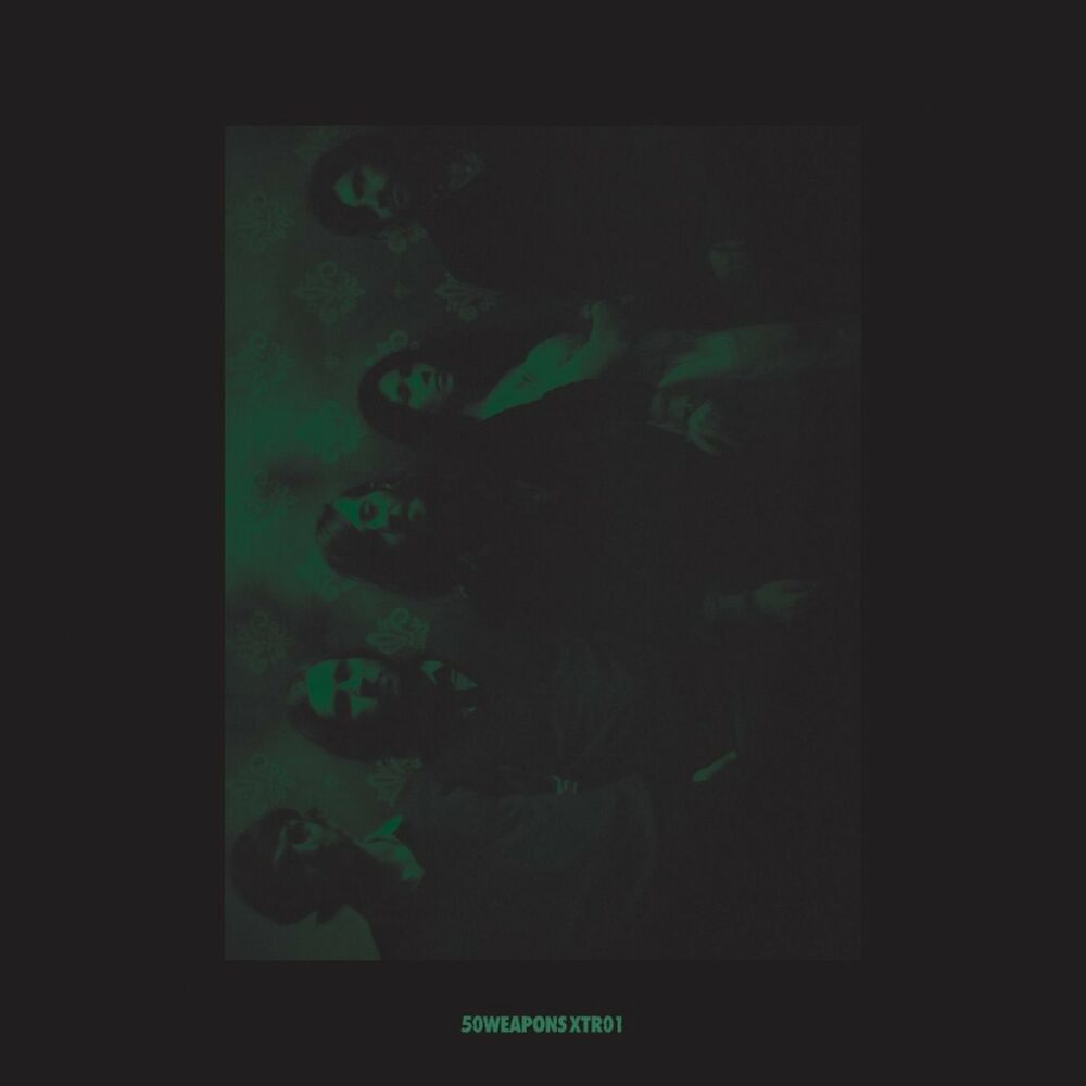 Tamer Animals cover