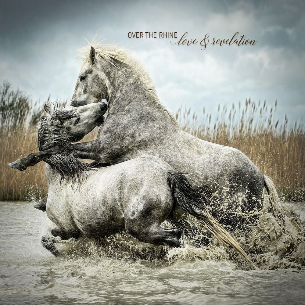 Love & Revelation cover