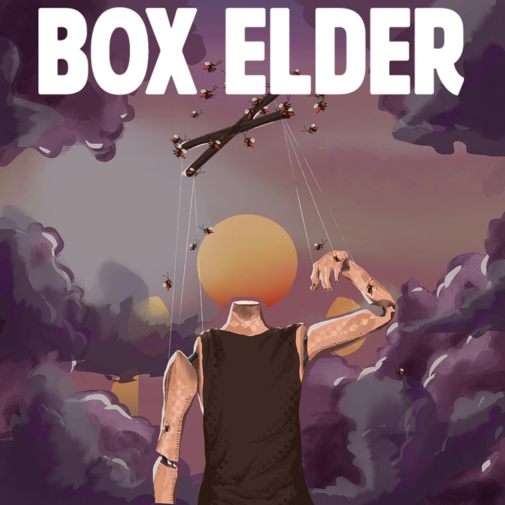 Box Elder cover