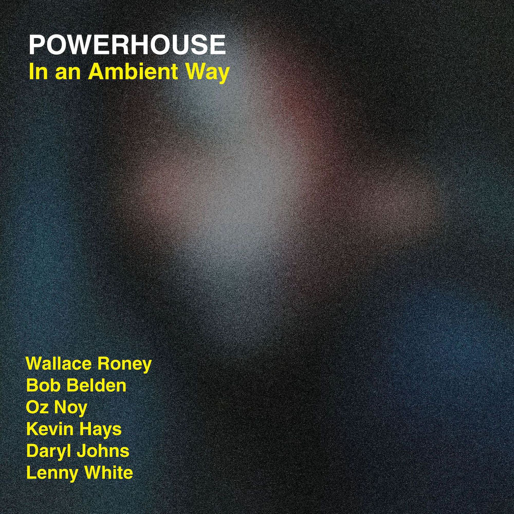 In an Ambient Way cover