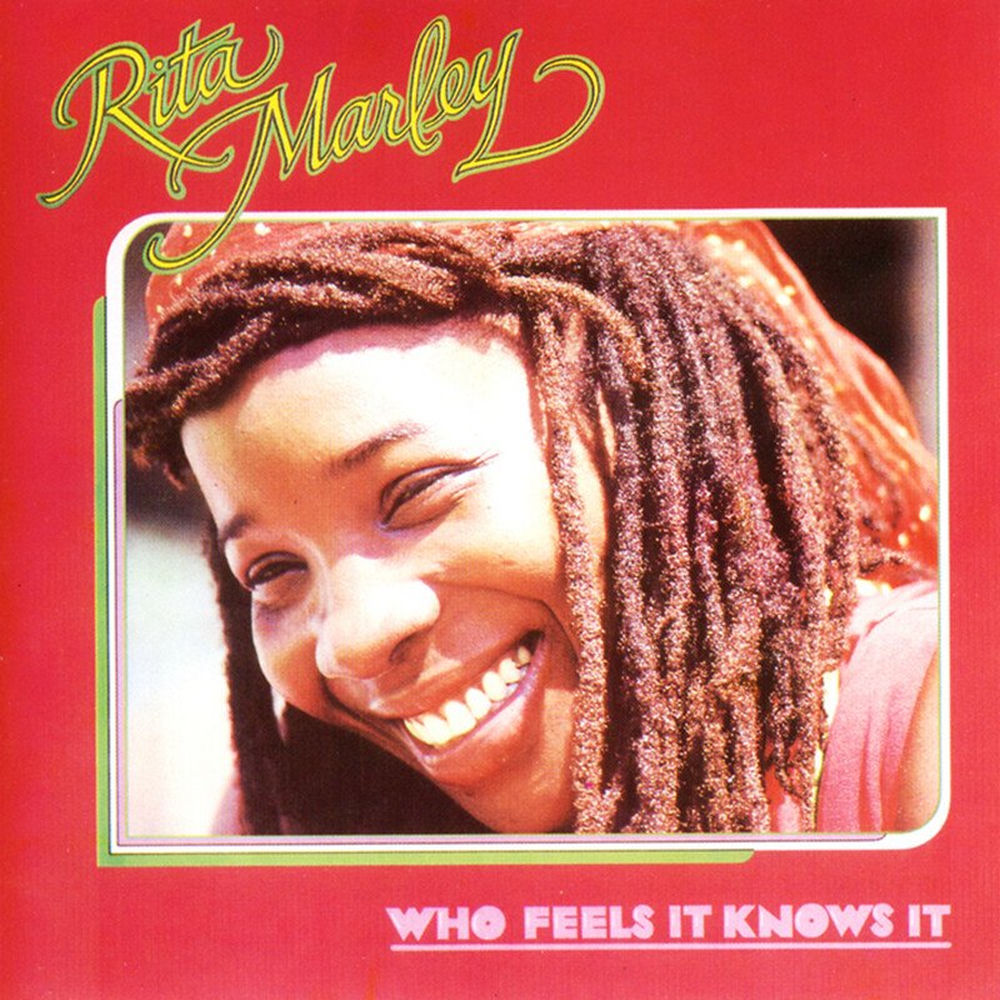 Who Feels It Knows It cover