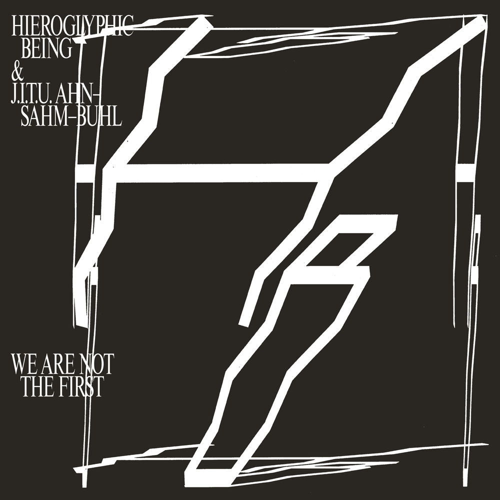 We Are Not the First cover