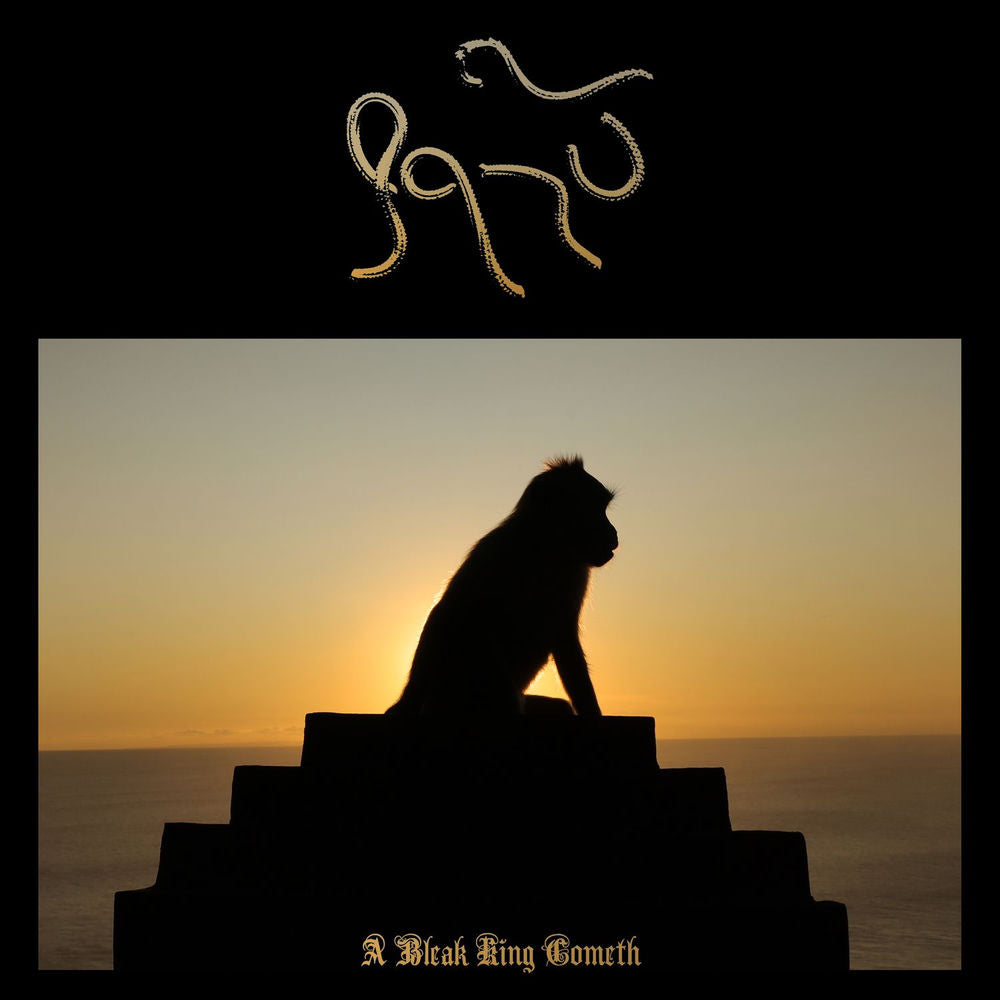 Bleak King Cometh cover
