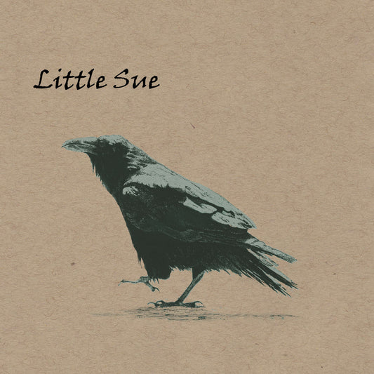 Crow (20th Anniversary Edition) cover