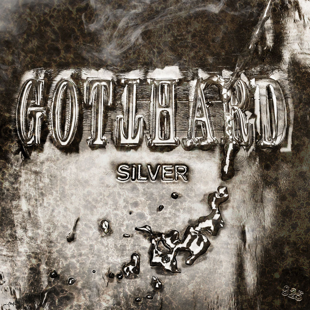 Silver cover