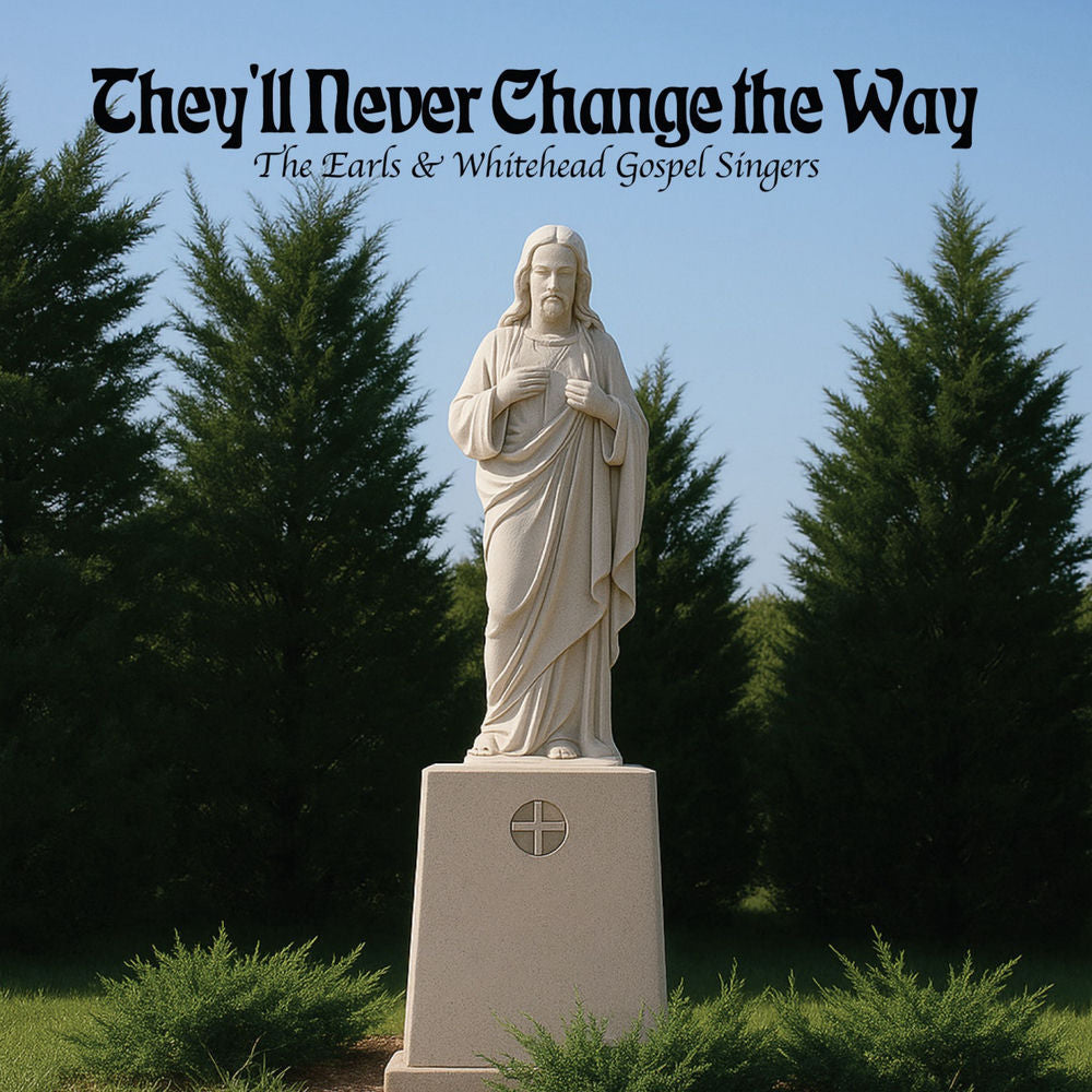They'll Never Change the Way cover