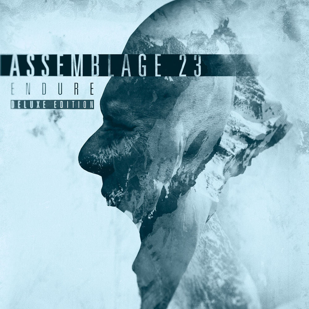 Endure cover