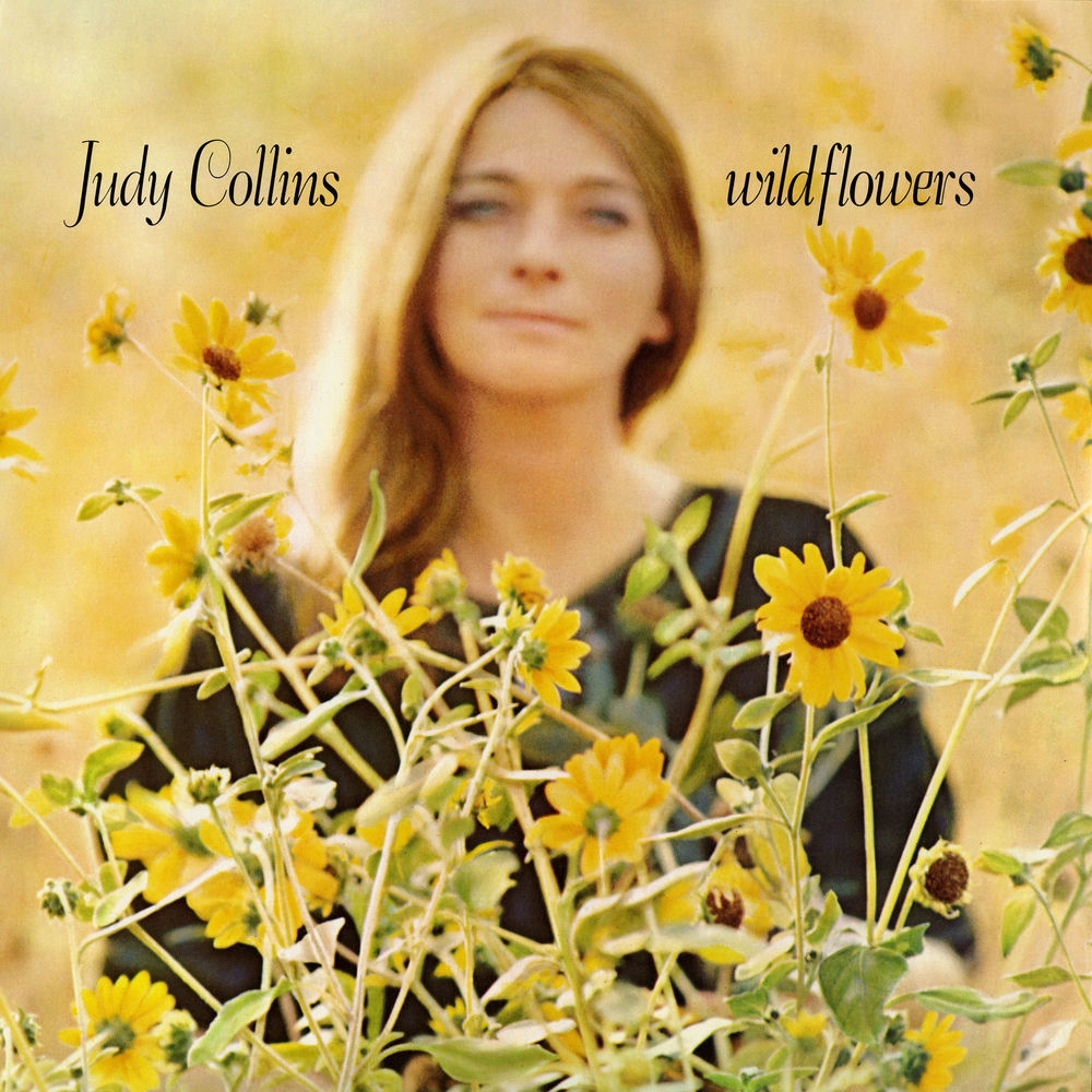 Wildflowers cover