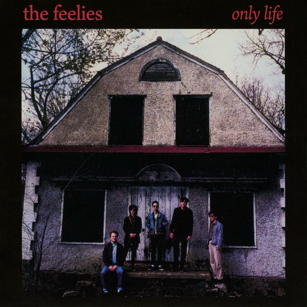Only Life cover