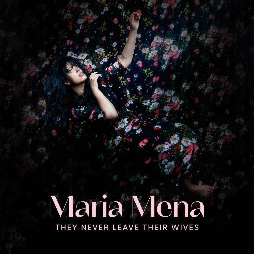 They Never Leave Their Wives cover