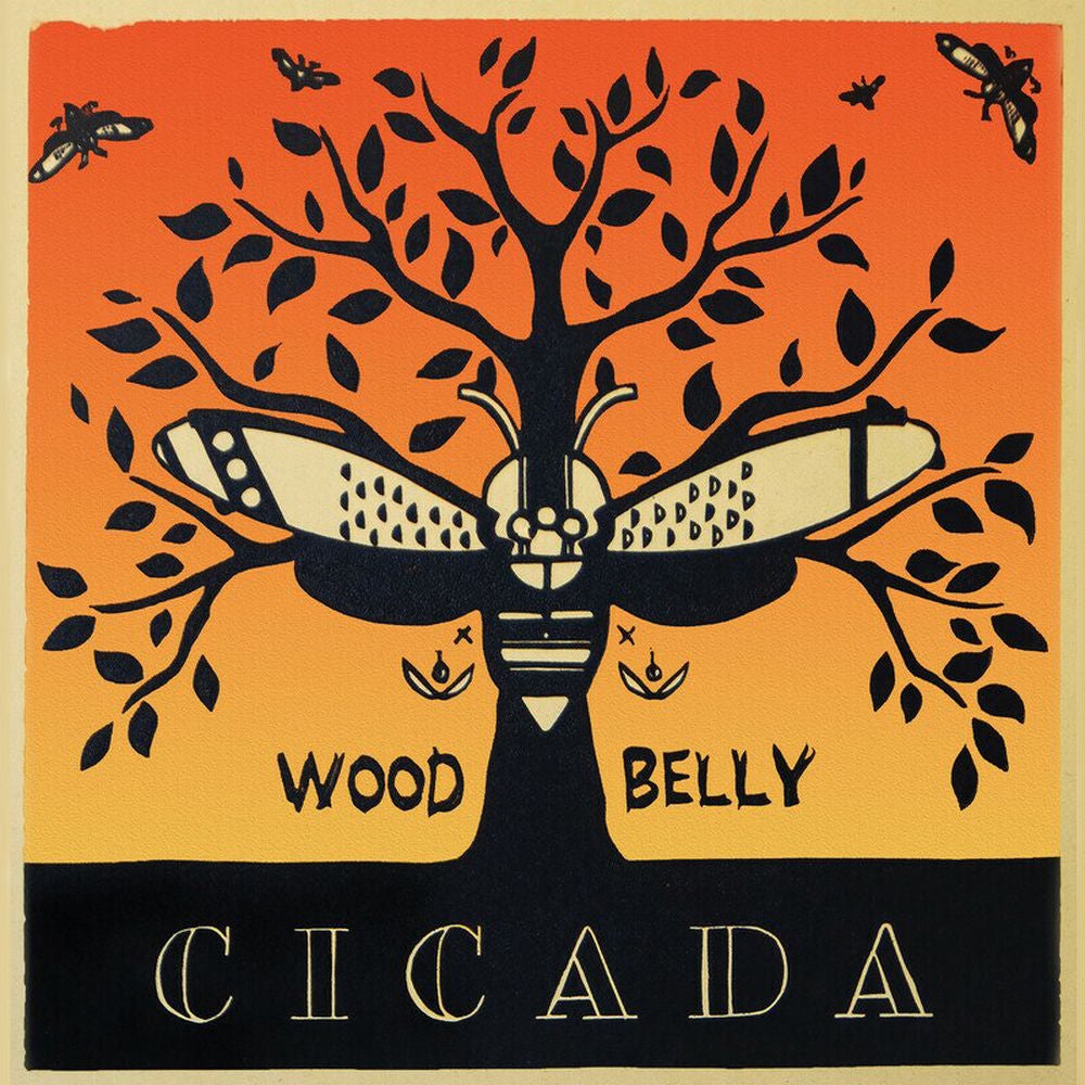 Cicada cover
