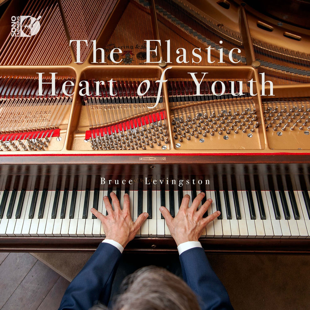 Elastic Heart of Youth cover