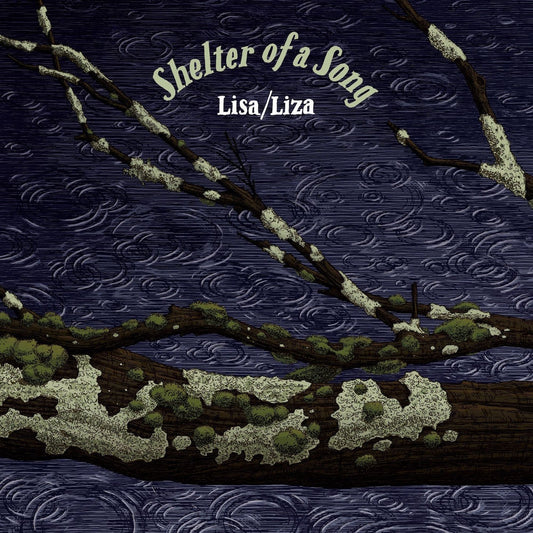 Shelter Of A Song cover
