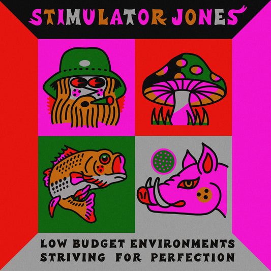 Low Budget Environments Striving For Perfection cover