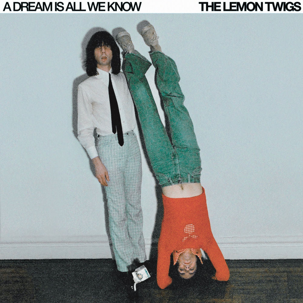 A Dream Is All We Know cover