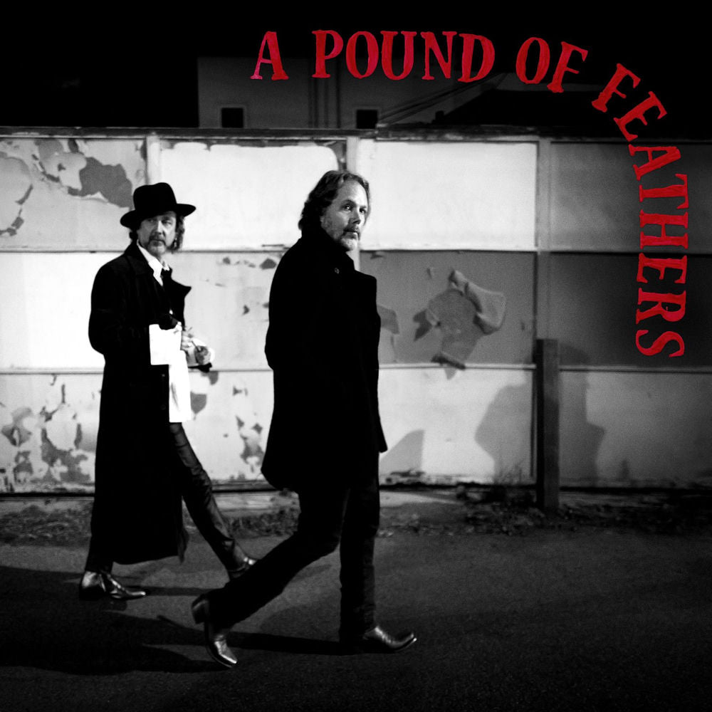 A Pound Of Feathers cover