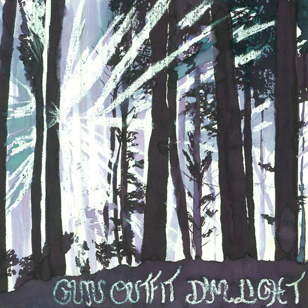 Dim Light cover