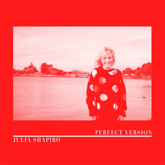 Perfect Version cover