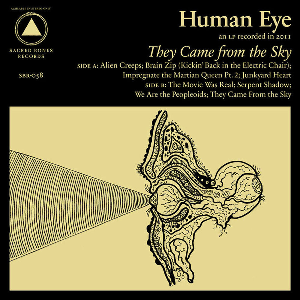 They Came from the Sky cover