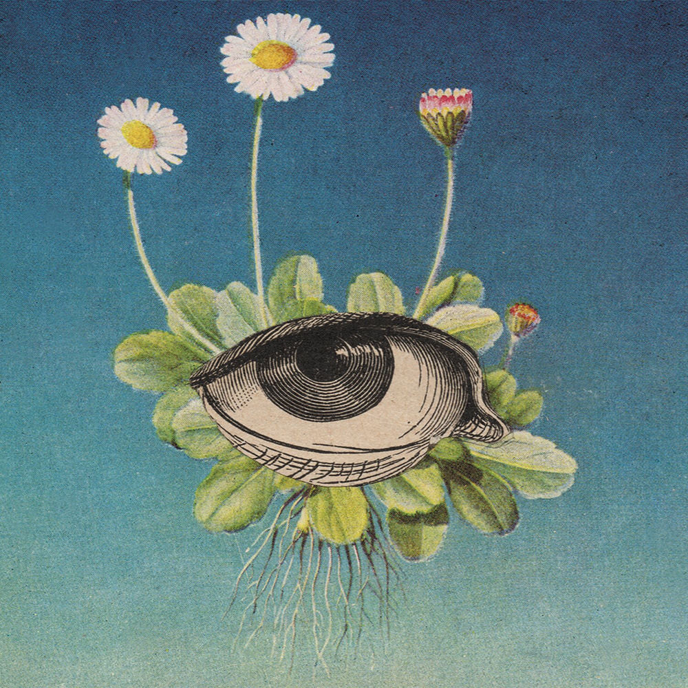 The Limited Circle Is Pure cover